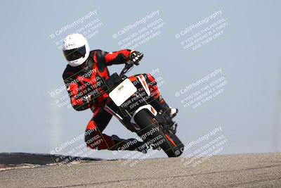 media/Oct-06-2025-2WTD (Mon) [[90522c3a0b]]/B Group/1120am (Grapevine)/